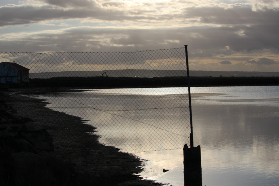 Salina de Santa Pola