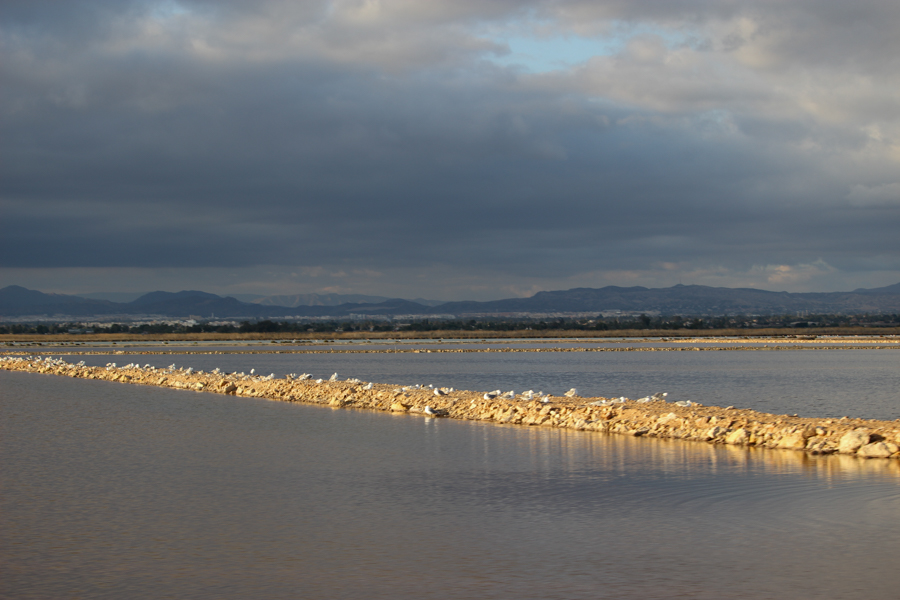 Salina de Santa Pola